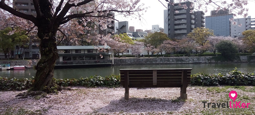 日本櫻花,日本櫻花2016,廣島,平和紀念公園,平和紀念資料館,本通商店街,藥妝