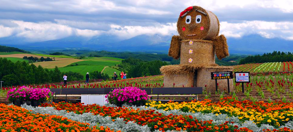 日本自由行,富良野,北海道,四季彩之丘,Panoramic Flower Gardens Shikisai-no-oka