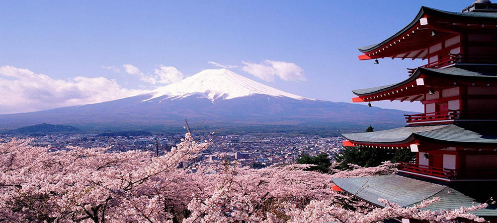 日本櫻花2016,日本櫻花,日本東京, 東京賞櫻, 東京櫻花, 東京名勝,千鳥淵綠道,隅田公園,新宿御苑