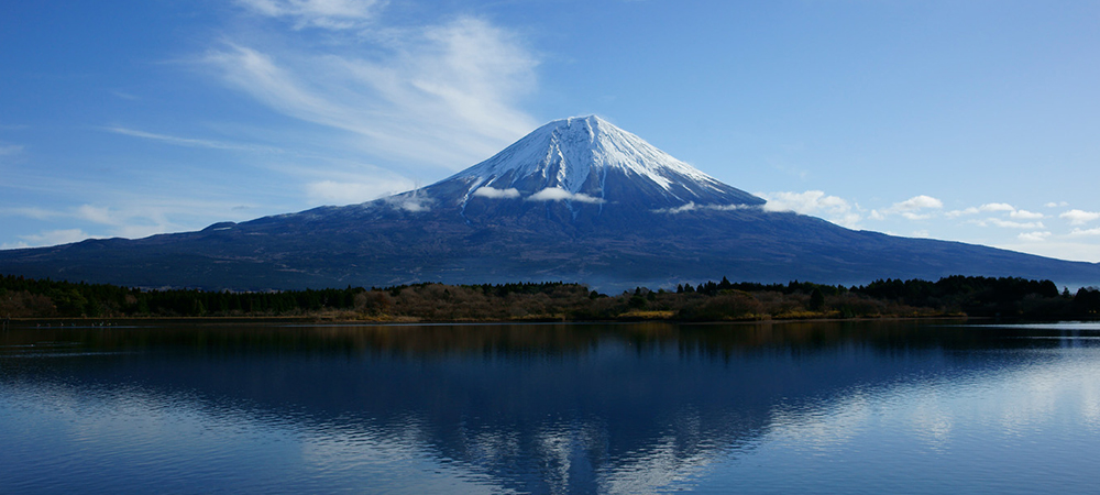 日本櫻花2016,日本旅遊,富士山,富士山蠟燭,櫻花