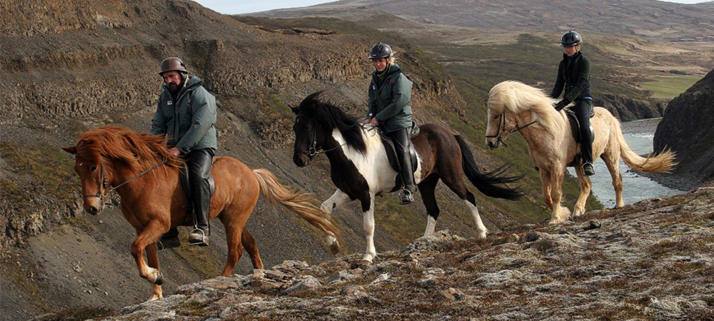 冰島必玩,冰島馬,冰島自由行