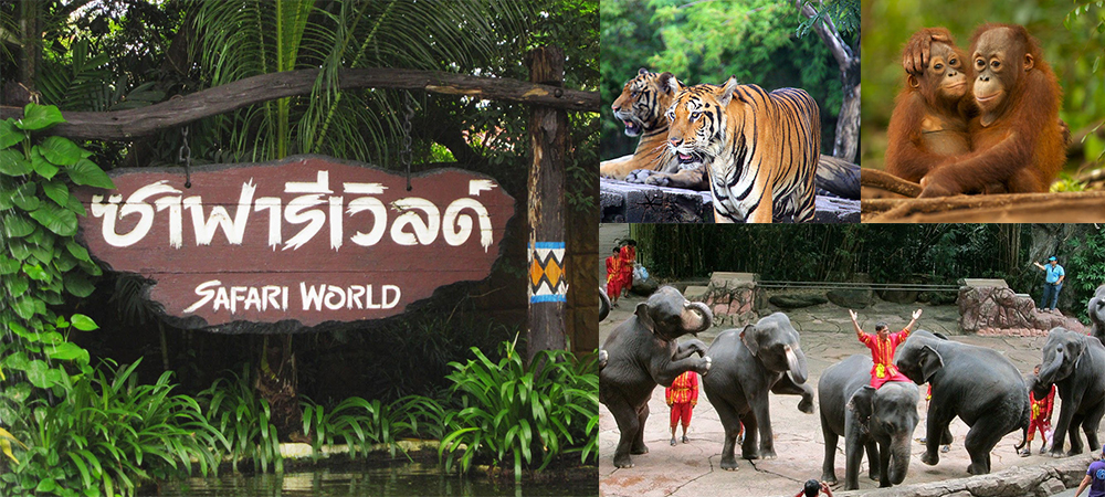 曼谷自由行,曼谷野生動物世界,泰國,曼谷