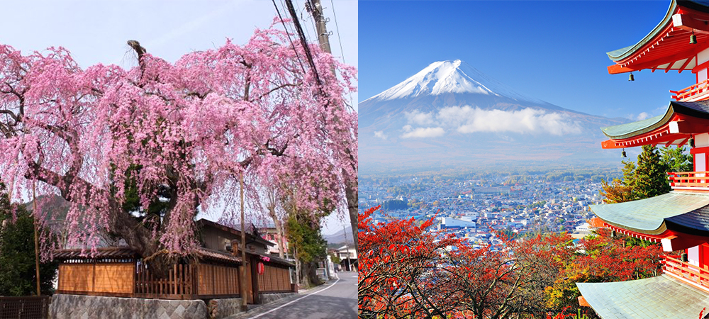 十大日本遺產,日本,日光市內,五箇山,白川鄉,小笠原諸島,平泉,白神山地,知床五湖