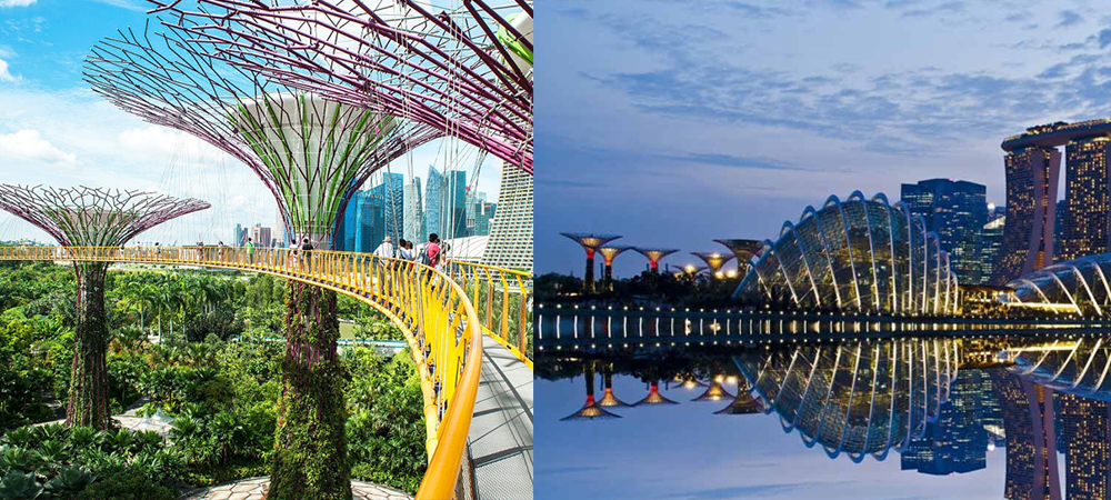 新加坡,濱海灣花園 ,Gardens by the Bay,花穹,雲霧林,Skyway,Supertree