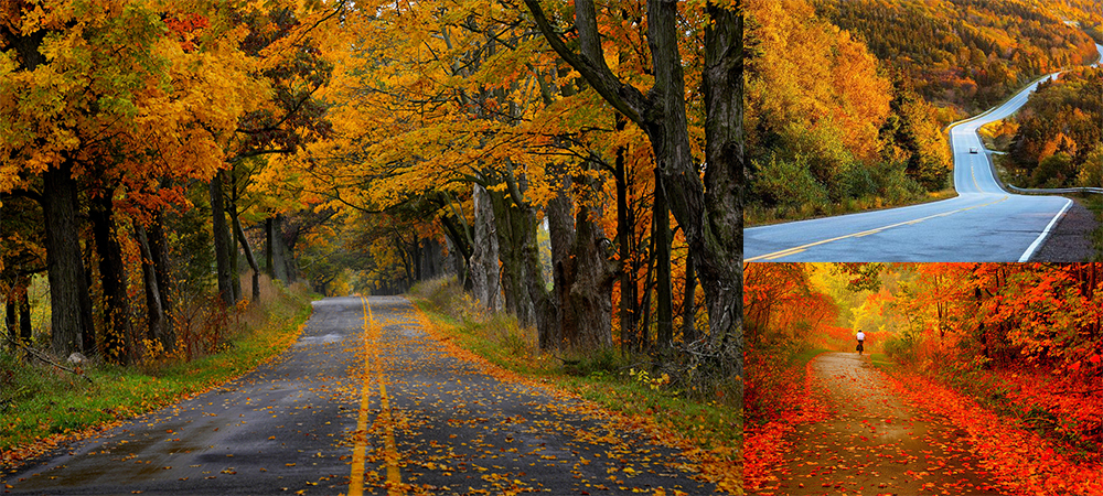 賞楓,加拿大,楓葉之國,加拿大自由行,尼加拉大瀑布,Cabot Trail,Thousand Islands,Niagara Falls,Algonquin  Provincial Park,Canyon Ste-Anne,聖安妮峽谷,楓葉大道