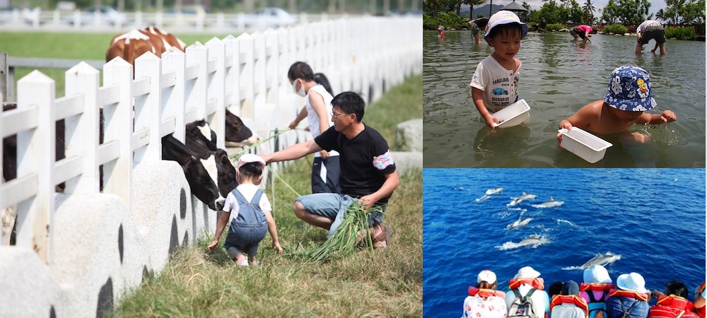台灣,花蓮,看海豚,捉蝦,摸蜆,餵奶牛,瑞穗牧場