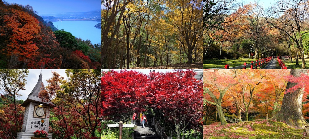 台灣,賞楓,楓葉,陽明山國家公園,奧萬大樂活莊園,桃源仙谷,石門水庫,太平山國家公園,拉拉山