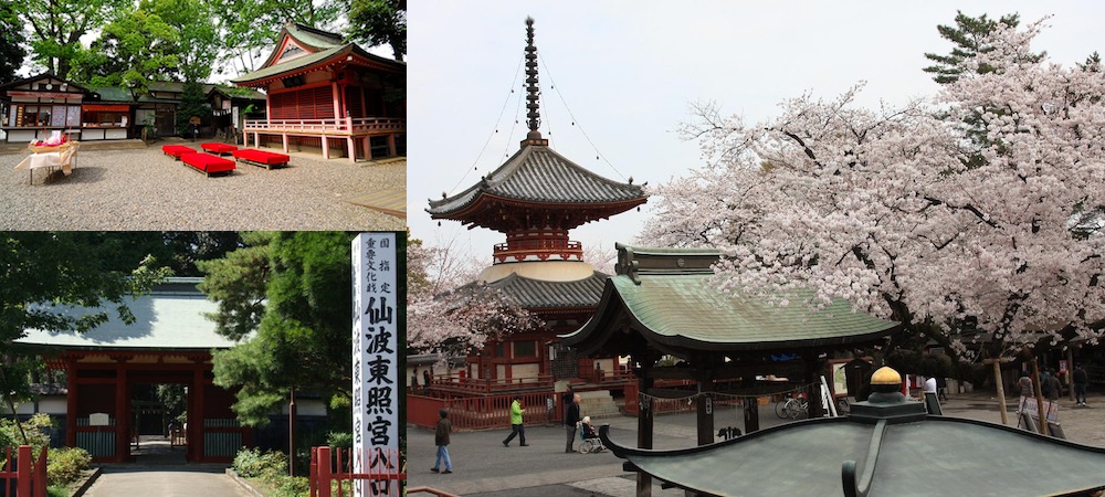 日本,川越,喜多院,仙波東照宮,本丸禦殿,冰川神社,交通