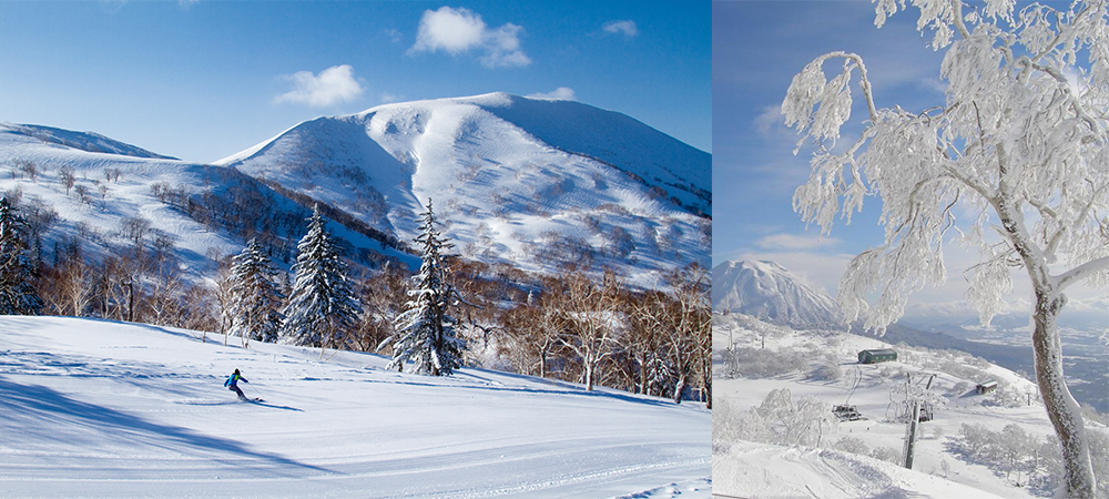 北海道,北海道滑雪,冬季旅遊,日本自由行,北海道自由行,新雪谷安努普利國際滑雪場 ,粉雪,新雪谷安努普利,Niseko Annupuri