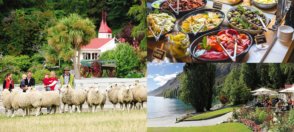 瓦爾特峰高原農場,皇后鎮,紐西蘭,綿羊,羊駝,紐西蘭自由行,瓦卡蒂普湖,Walter Peak High Country Farm,newzealand