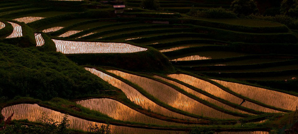 關西自由行,關西2018,關西旅遊