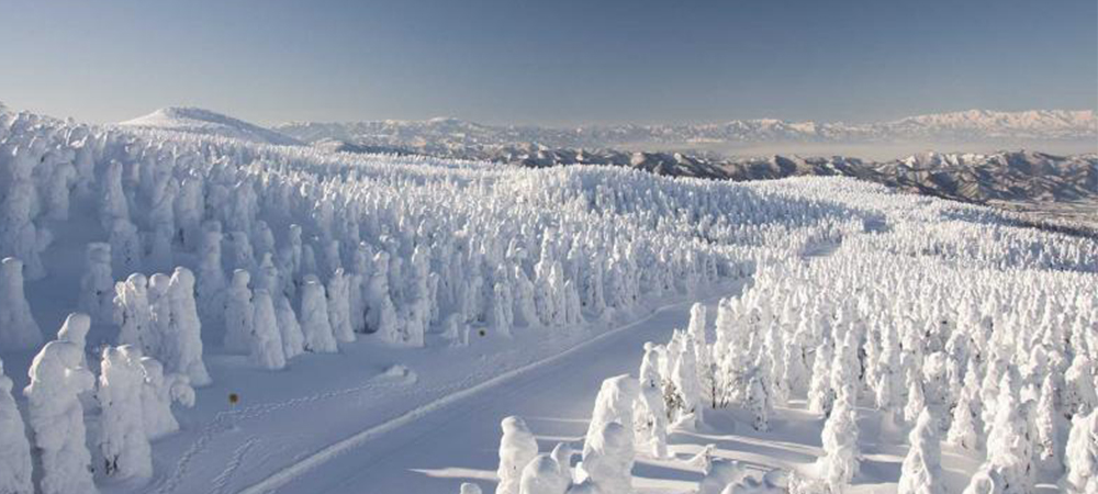 日本 ,雪景 ,藏王,樹冰 ,冬日, 限定