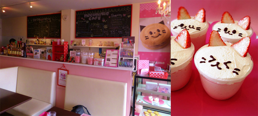 名古屋,貓奴,ねこまめカフェ