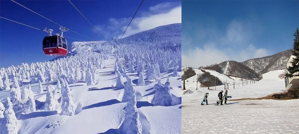 日本,樹冰,秋田,阿仁滑雪場,日本自由行