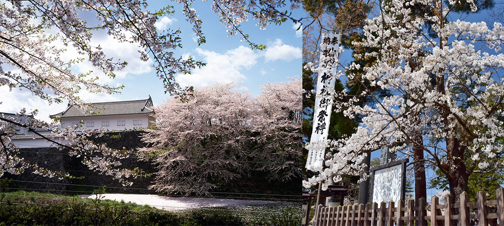 日本,日本自由行,山形縣,米澤市,一人旅