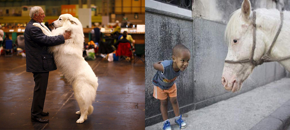 Instagram,路透社,Reuters